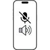 Speaker or Mic Issue